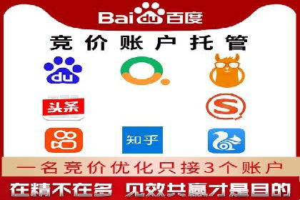 金融行业SEM运营托管的策略与效果